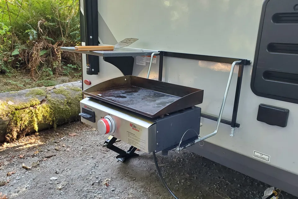 Ryan & Liz's Super Rad Forest River GeopPro G20BHS Travel Trailer