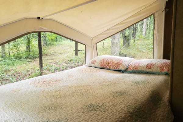 Terri's Rockwood Roo Cottage on wheels