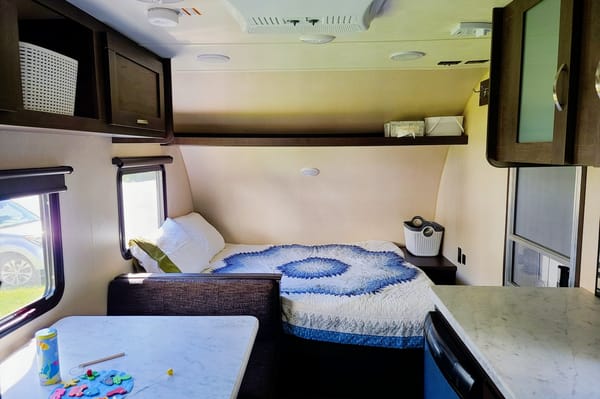 Akasha's Forest River Salem Travel Trailer