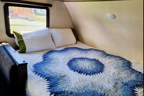 Akasha's Forest River Salem Travel Trailer