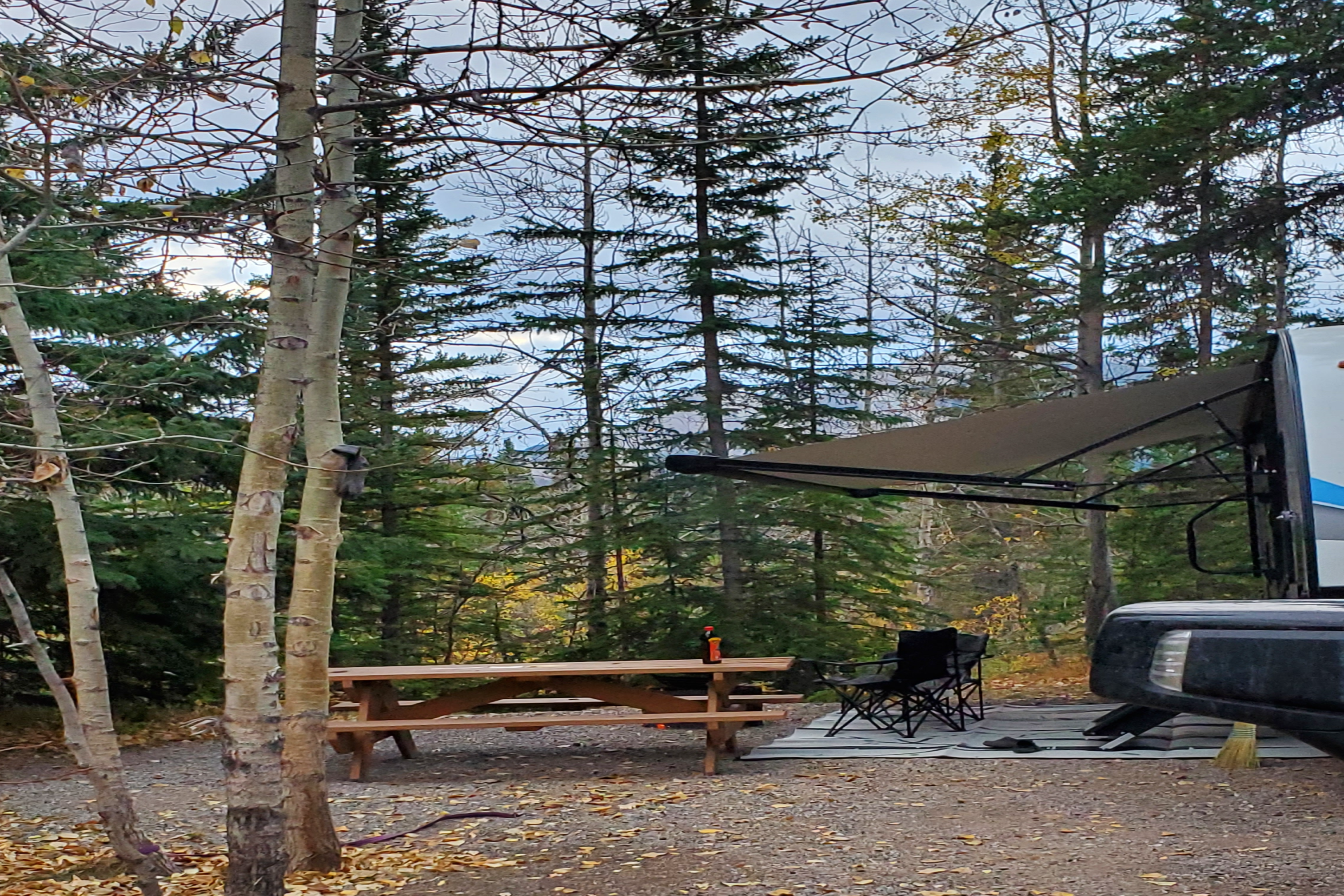 2021 Trailer – Friends & Family Adventurer