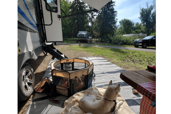 2021 Trailer – Friends & Family Adventurer