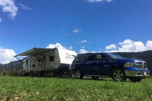 Large family and pet friendly!