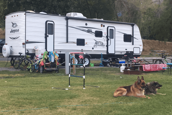 Large family and pet friendly!