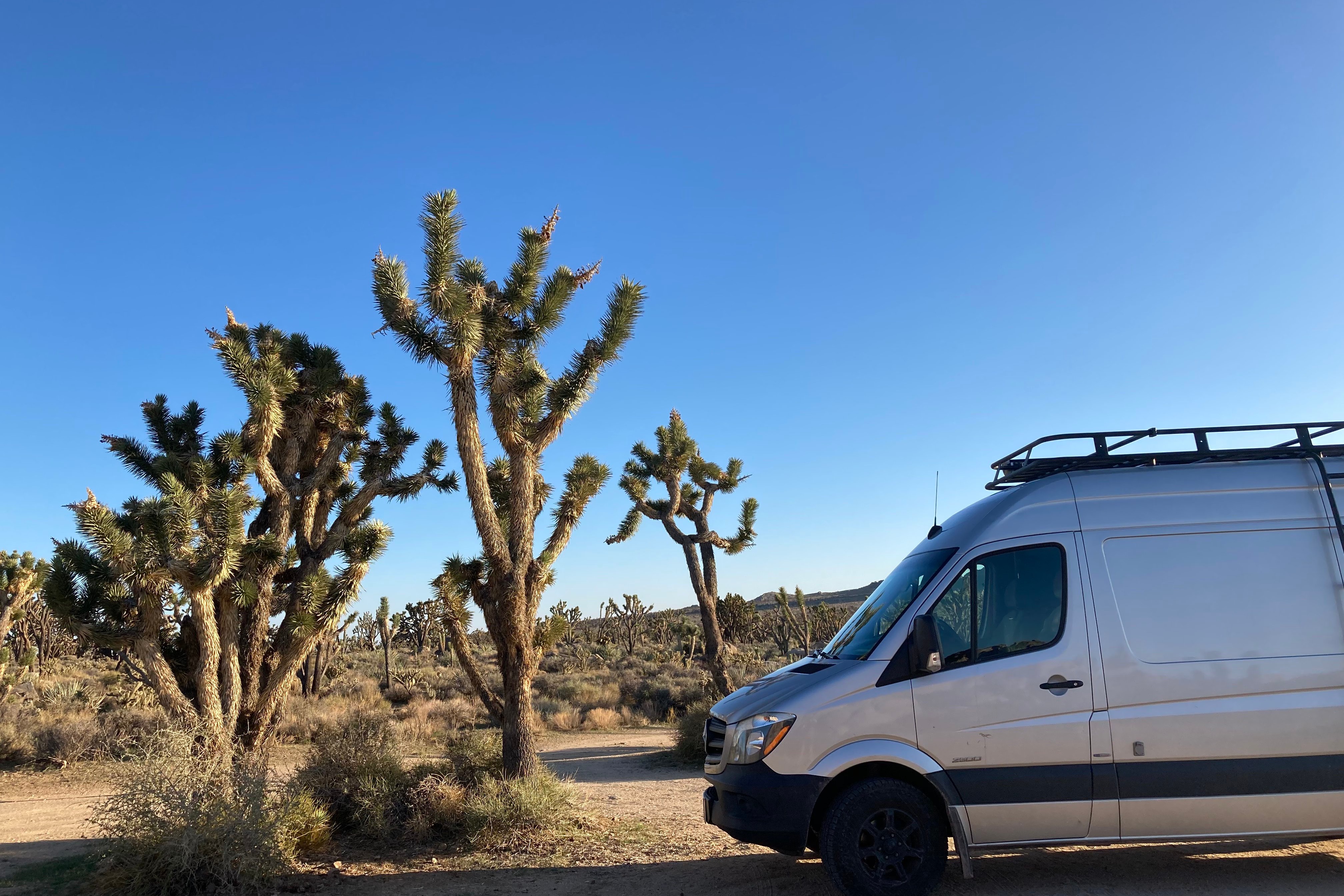Andrew's Mercedes-Benz Sprinter Class B