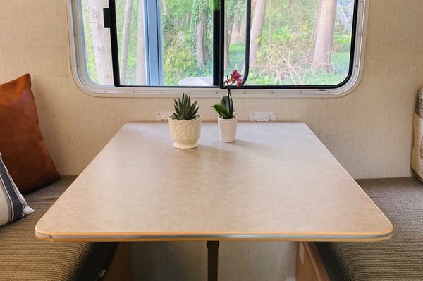 The Happy Camper 🌵